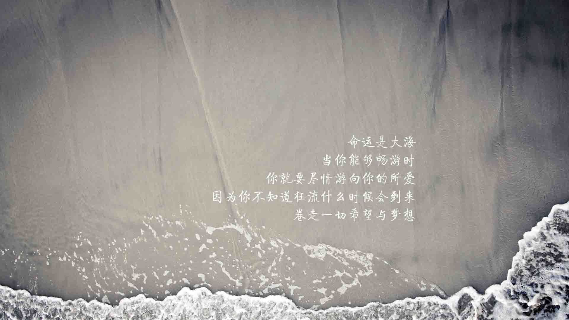 2024年埃及队表现：以团队为核心，走向未来，埃及队怎么样