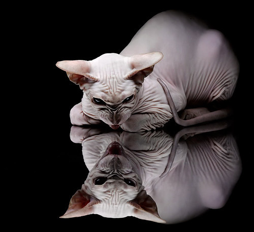 leyu乐鱼在线登录入口-曼城压迫式打法再次主导整场节奏，曼城压哨夺冠