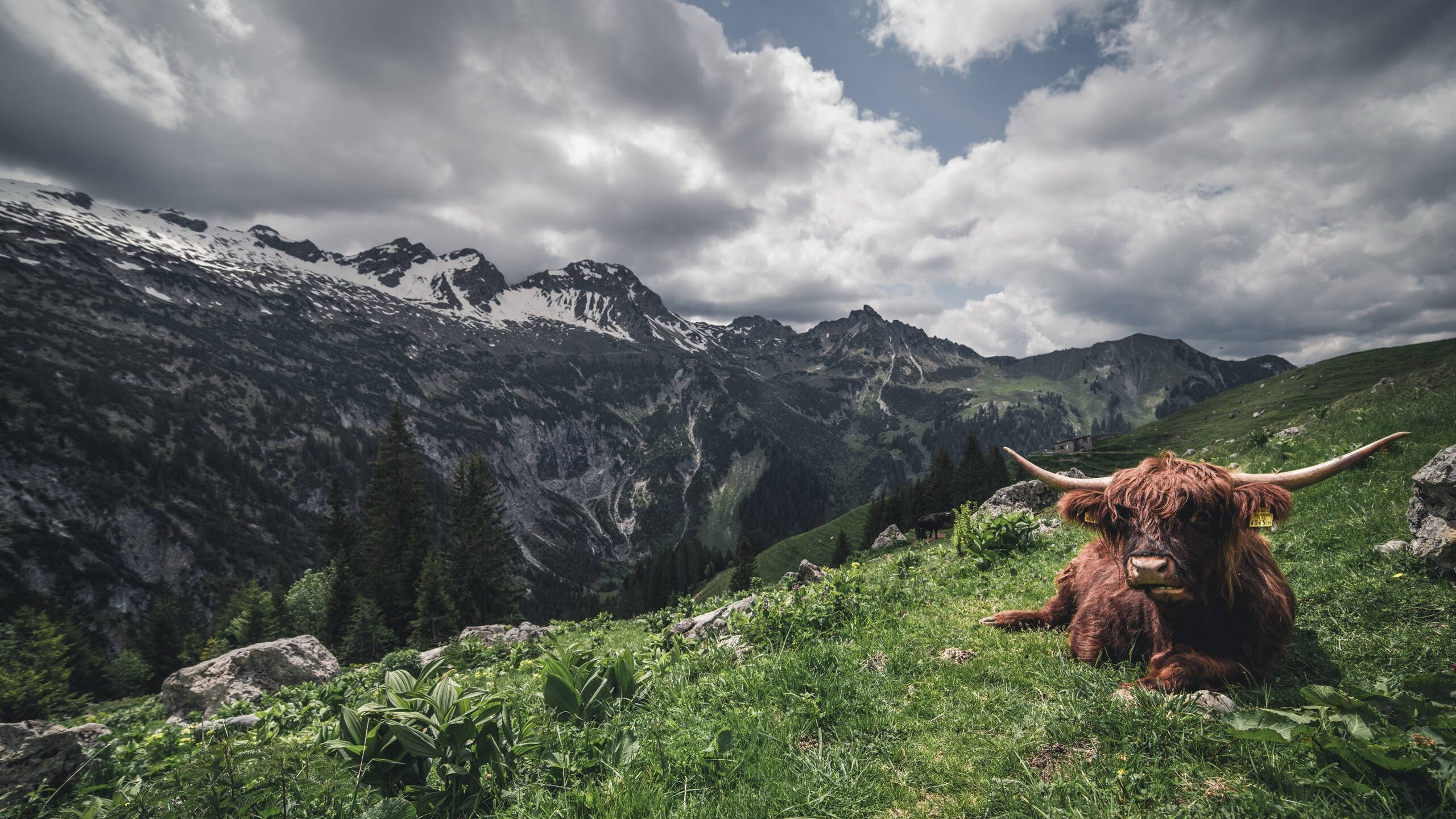 青训设施落后影响未来发展,青训设施落后影响未来发展怎么办