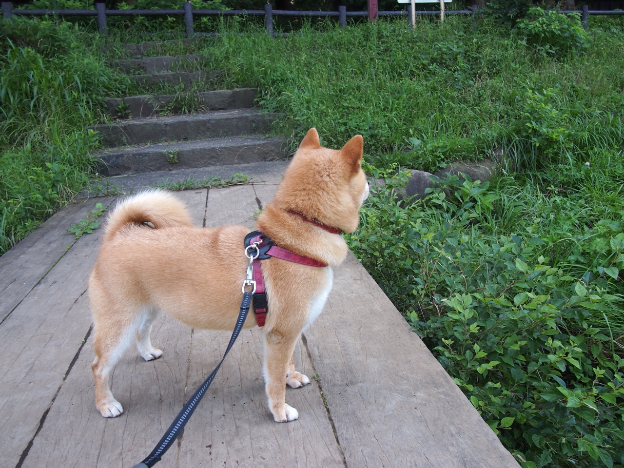 青训设施落后影响未来发展,青训设施落后影响未来发展怎么办