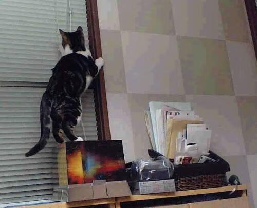 特色足球场馆融入智慧照明与智能安保系统,提升管理效率,足球场馆建设