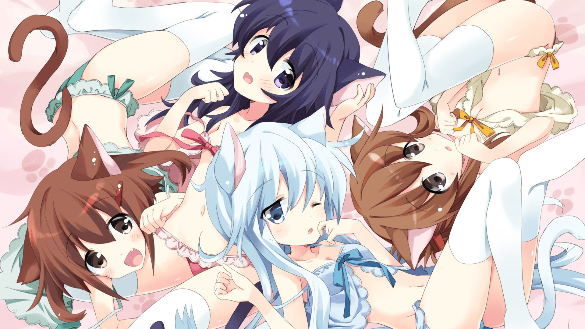 王楚钦换新球拍状态明显提升,王楚钦球品