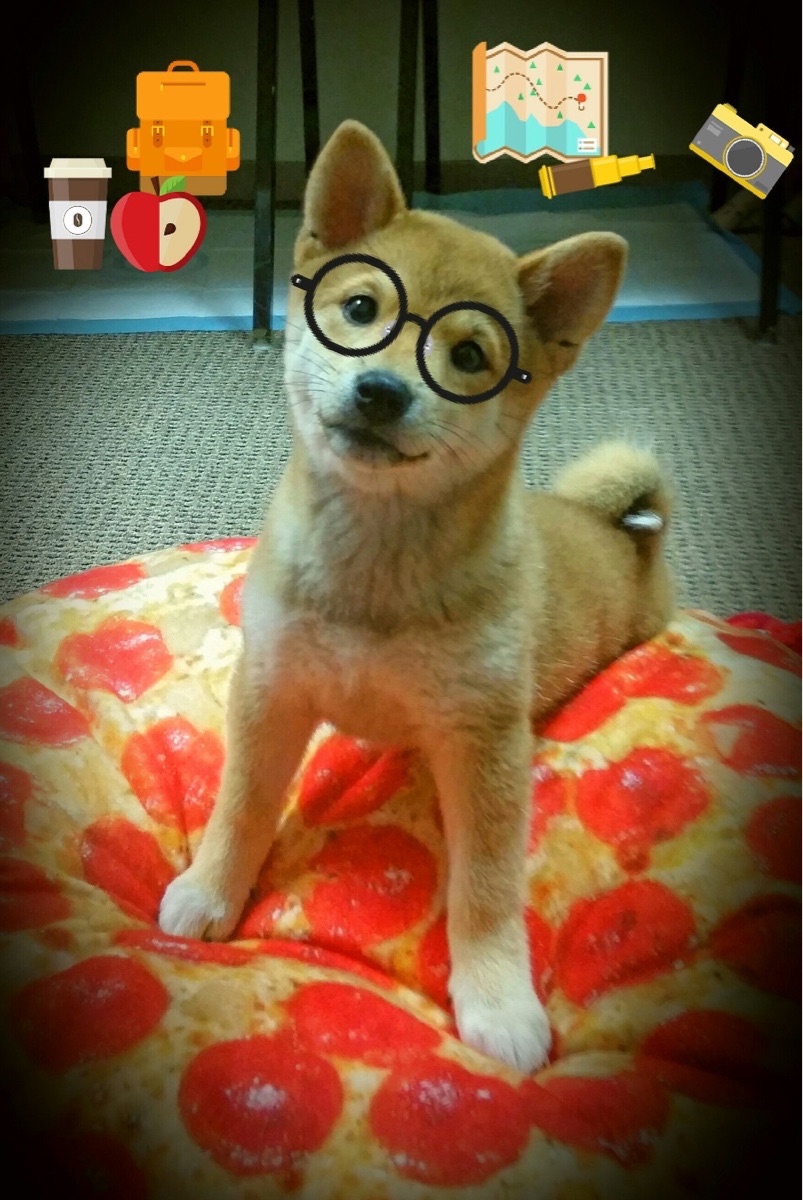 乐鱼娱乐app-穆里尼奥迎来挑战欧冠淘汰赛，穆里尼奥欧会杯