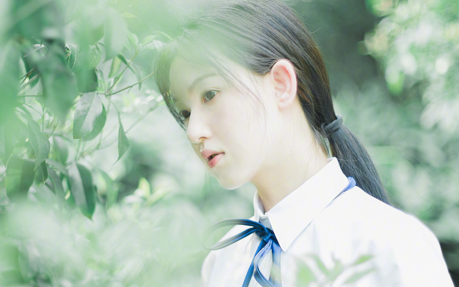 乐鱼vip-美洲杯激情四溢：明星创造奇迹！，美洲杯精彩集锦