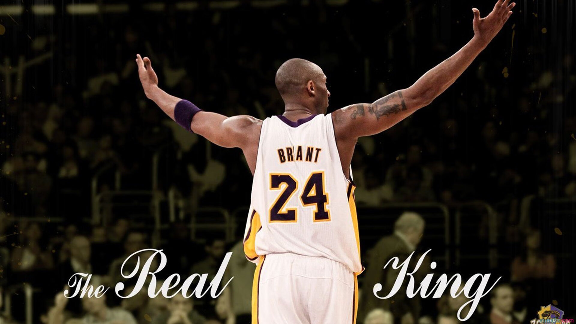 林丹线上讲座吸引上千学生在线观看，播放林丹的比赛视频